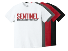 SENTINEL CHEER AND STUNT