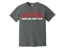 SENTINEL CHEER AND STUNT
