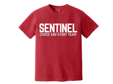 SENTINEL CHEER AND STUNT