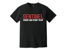 SENTINEL CHEER AND STUNT